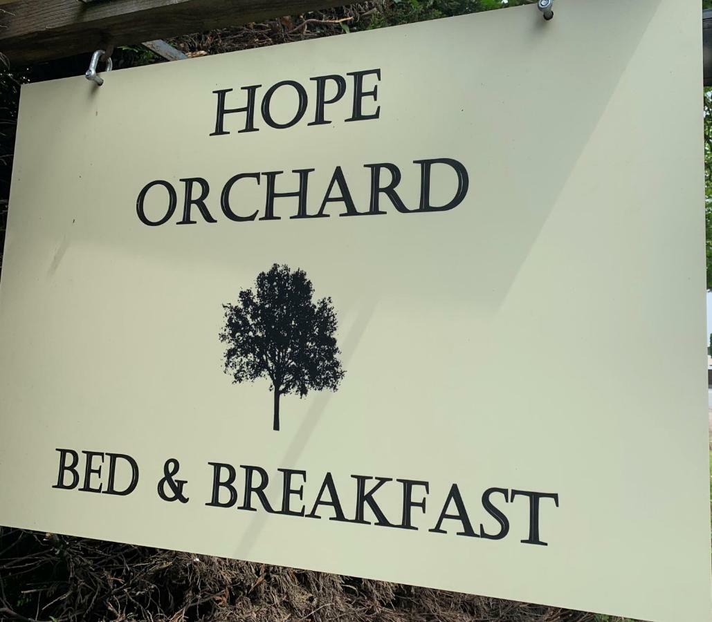 Hope Orchard Bed & Breakfast Cheltenham Exterior photo